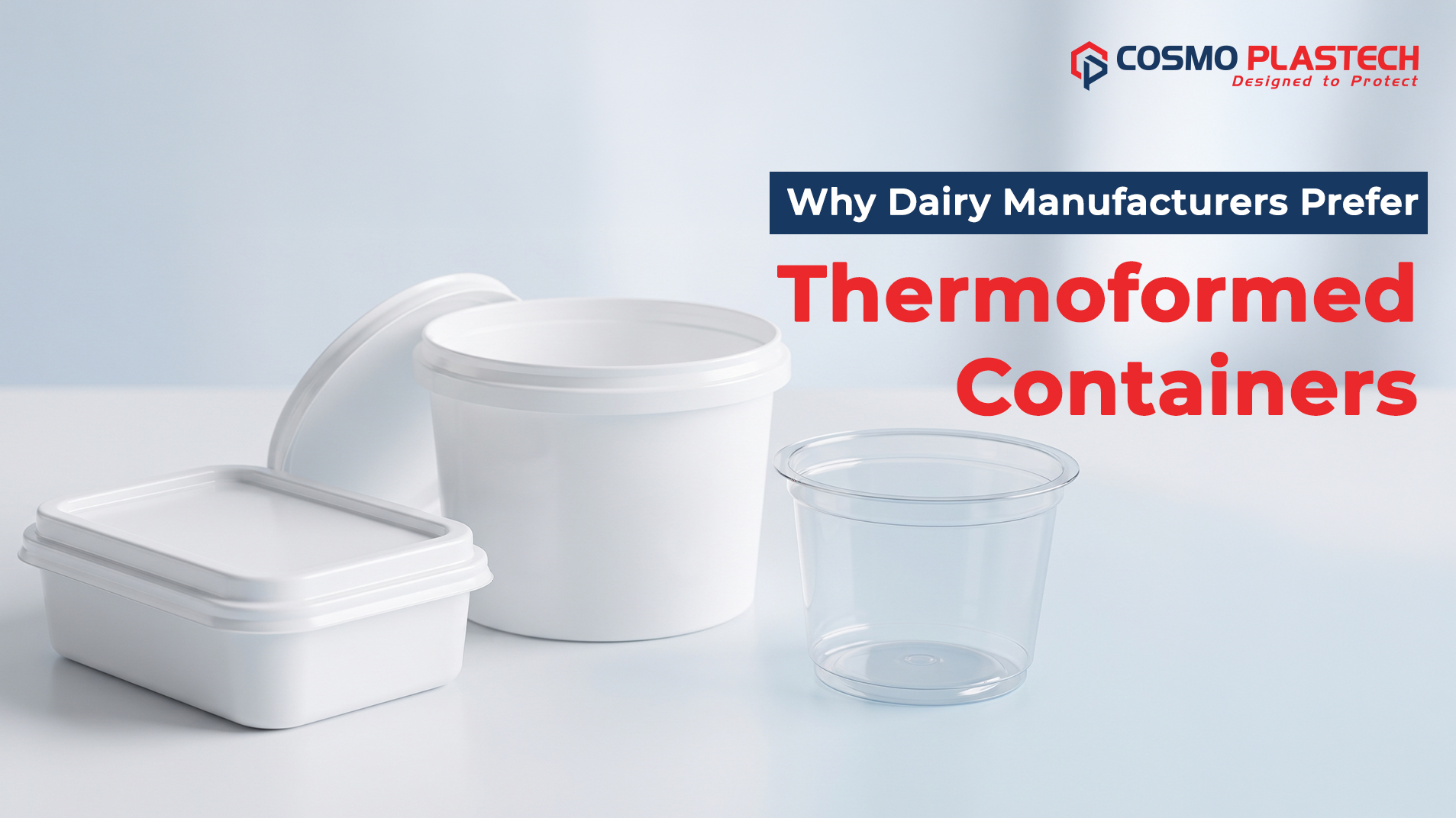 PP Thermoformed Containers for Dairy and Cheese Packaging